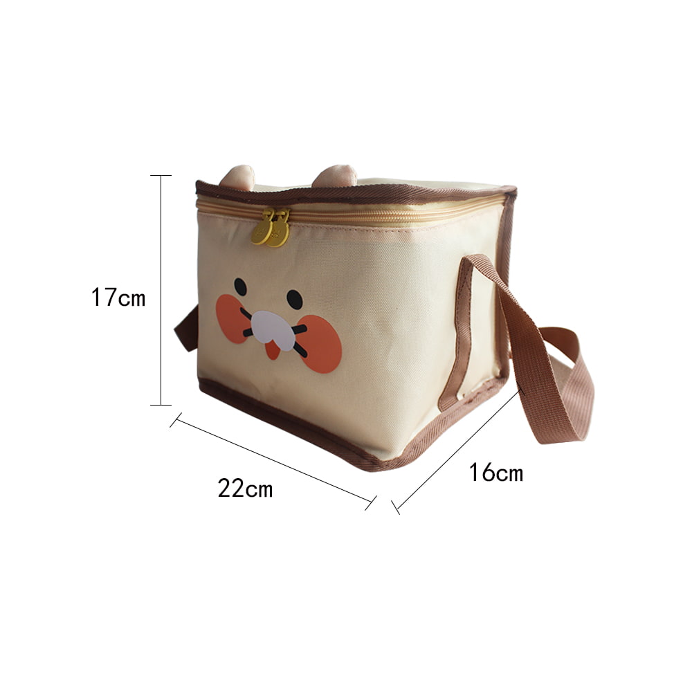 BD-GM02 Cute Large Capacity Insulated Lunch Bag for Women