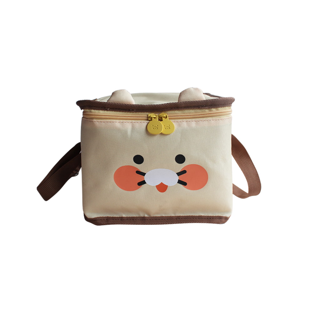 BD-GM02 Cute Large Capacity Insulated Lunch Bag for Women