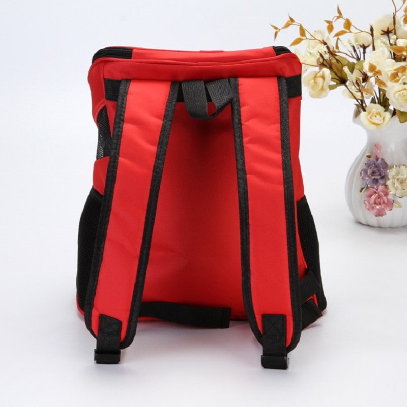 BD-GM66 Comfortable Travel Mesh Travel Pet Carrier Backpack