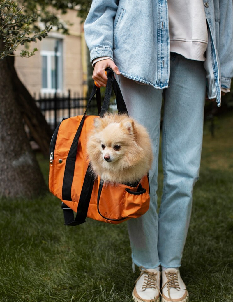 Pet Carrier Bag 